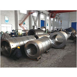Centrifugal casting mould
